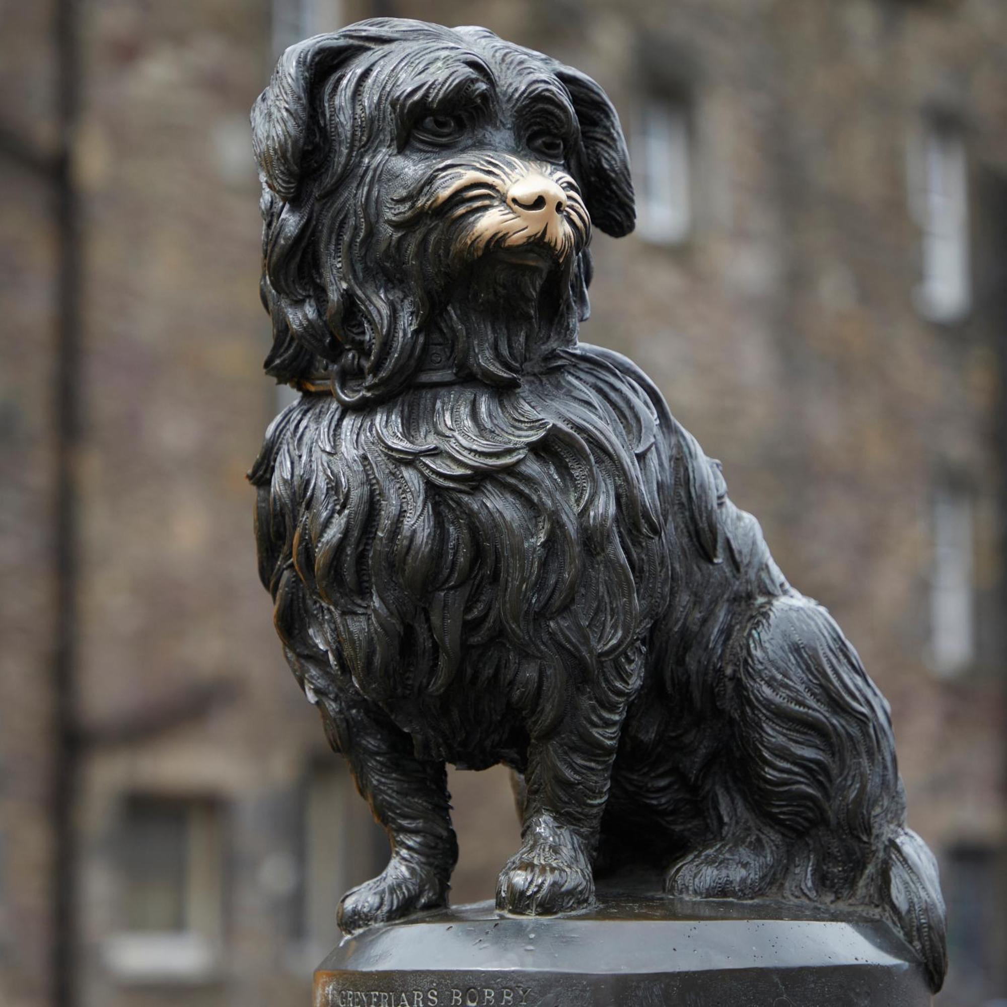 George IV Residence Edinburgh Dış mekan fotoğraf
